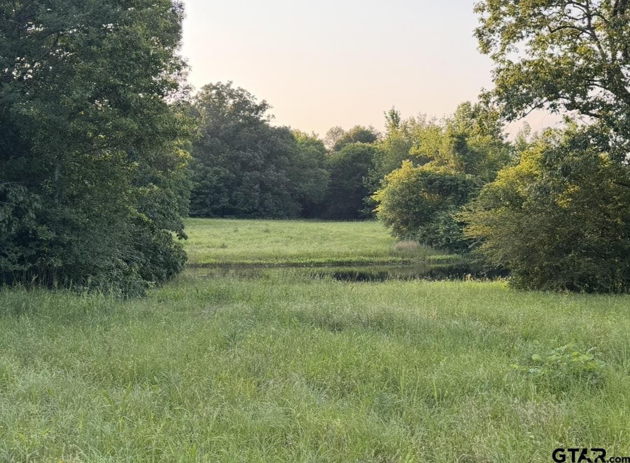 6 acres in Titus County gallery image 4