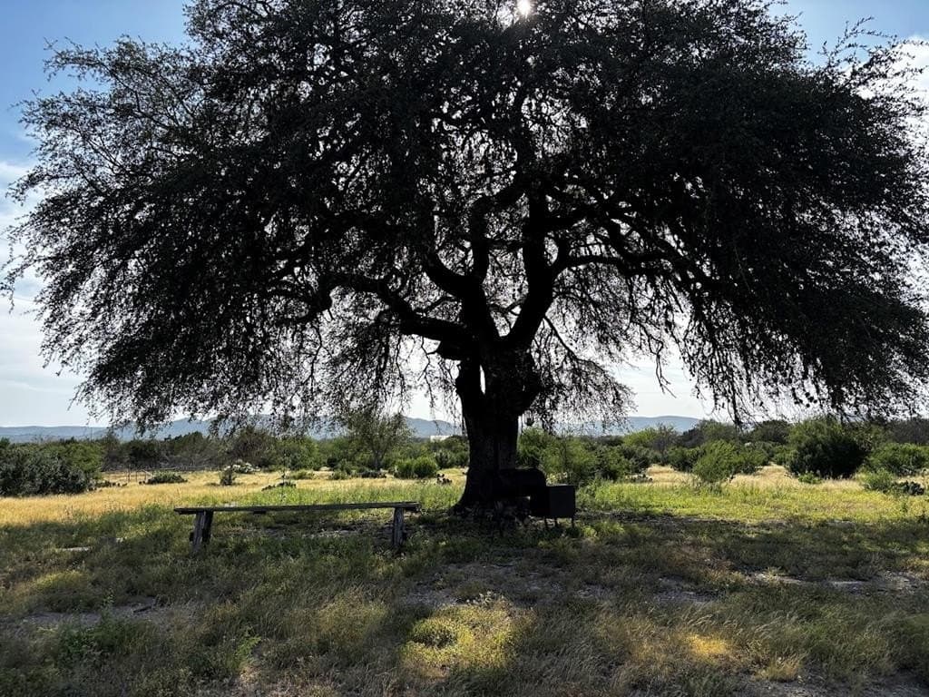 12 acres in Real County