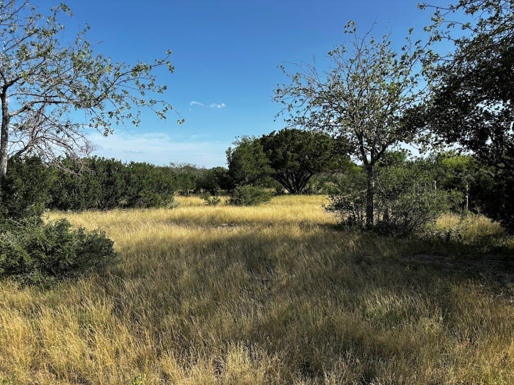 12 acres in Real County - photo 3