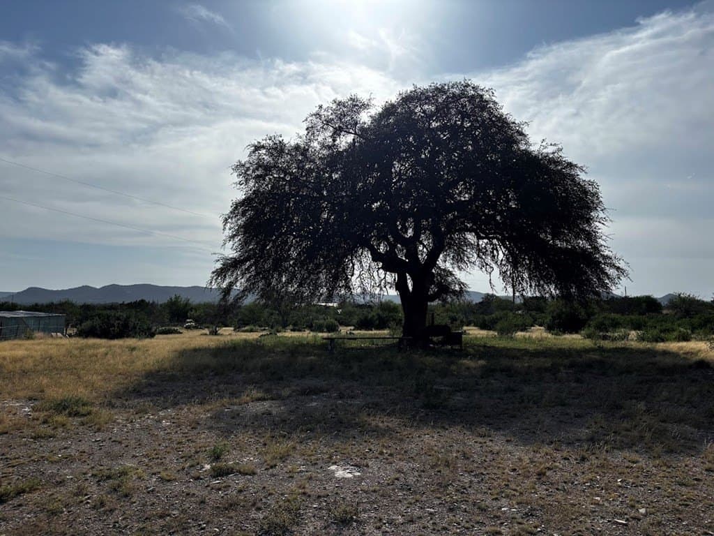 12 acres in Real County - photo 14