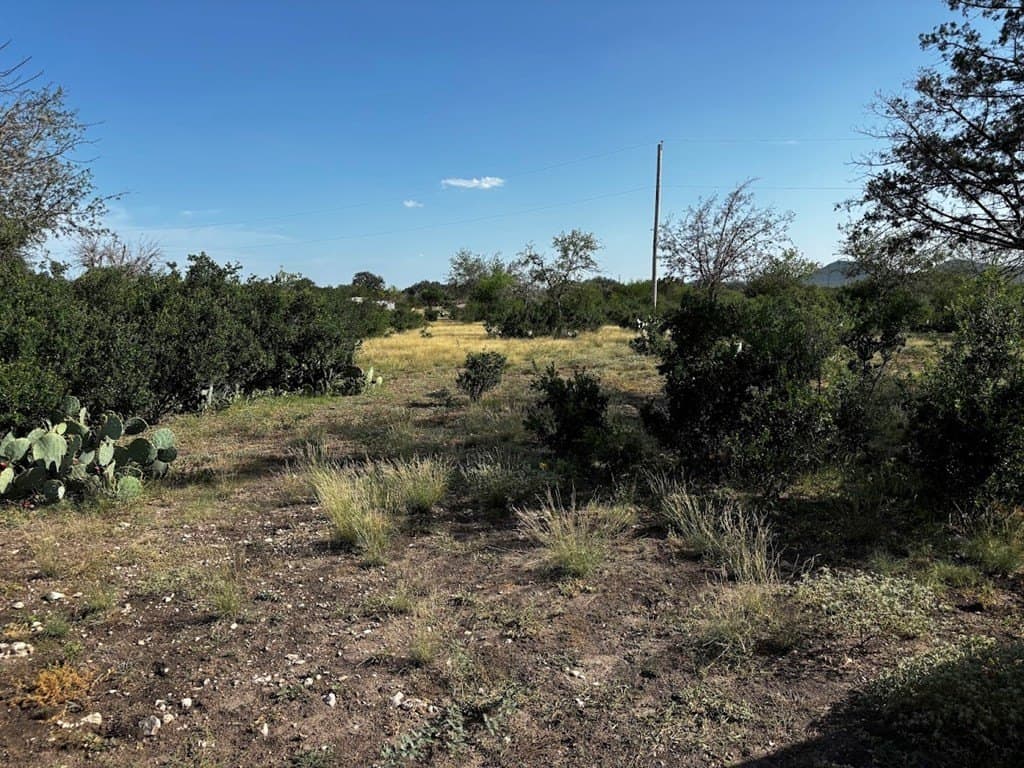 12 acres in Real County - photo 10