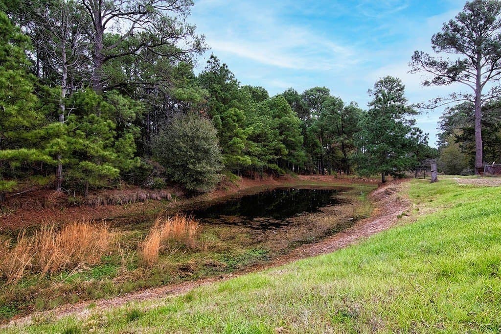 3.16 acres in Fayette County - photo 11