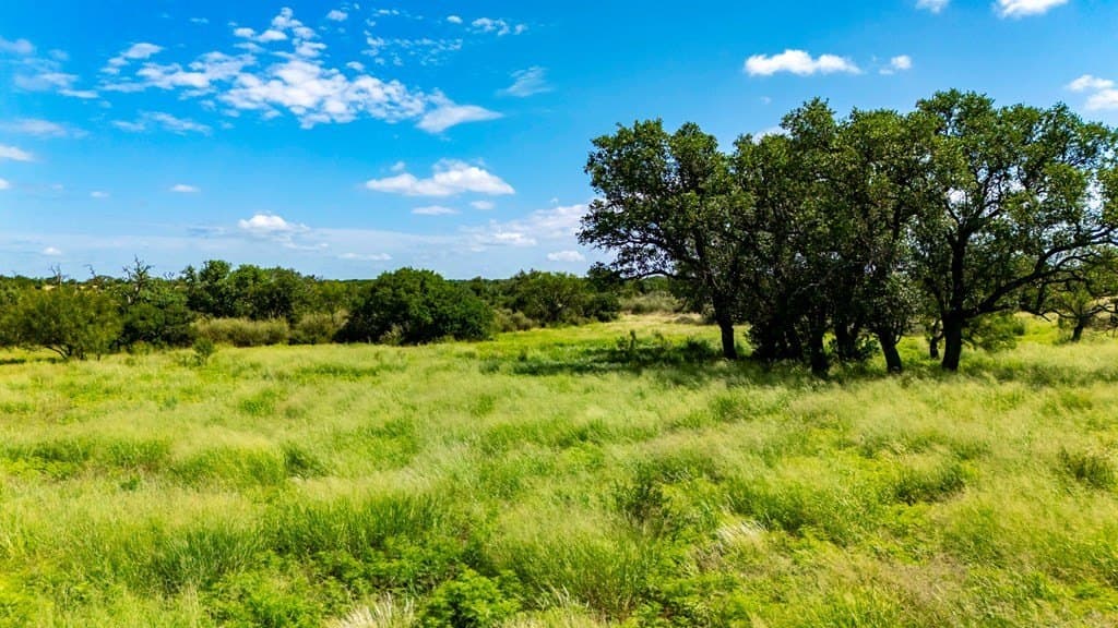 10.1 acres in Gillespie County - photo 13