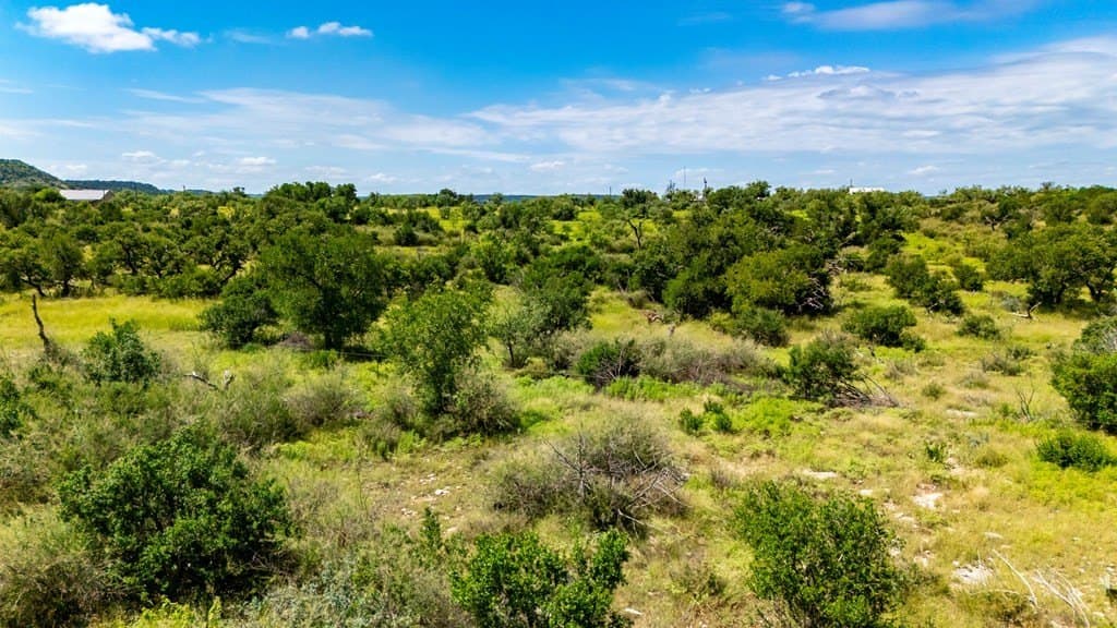 10.1 acres in Gillespie County - photo 17