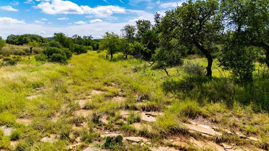 10.1 acres in Gillespie County - photo 19