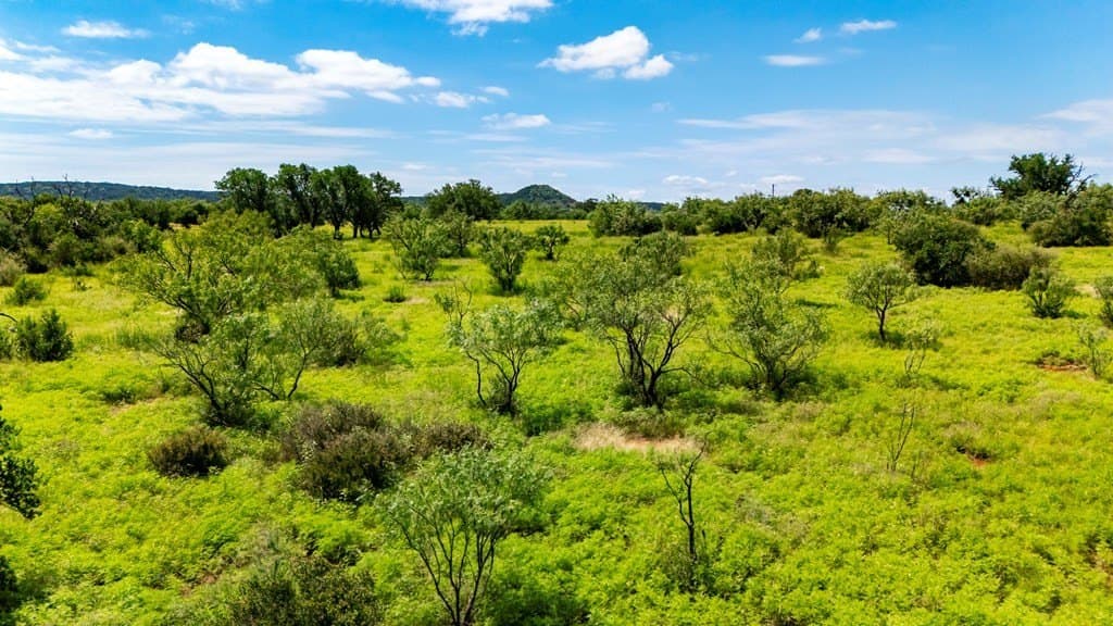 10.1 acres in Gillespie County - photo 20