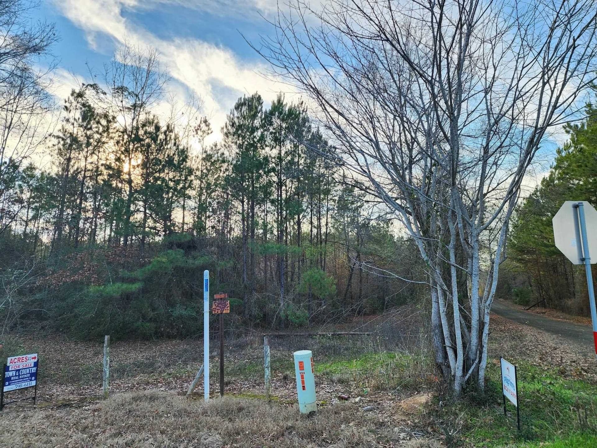 41.01 acres in Texas County - photo 15