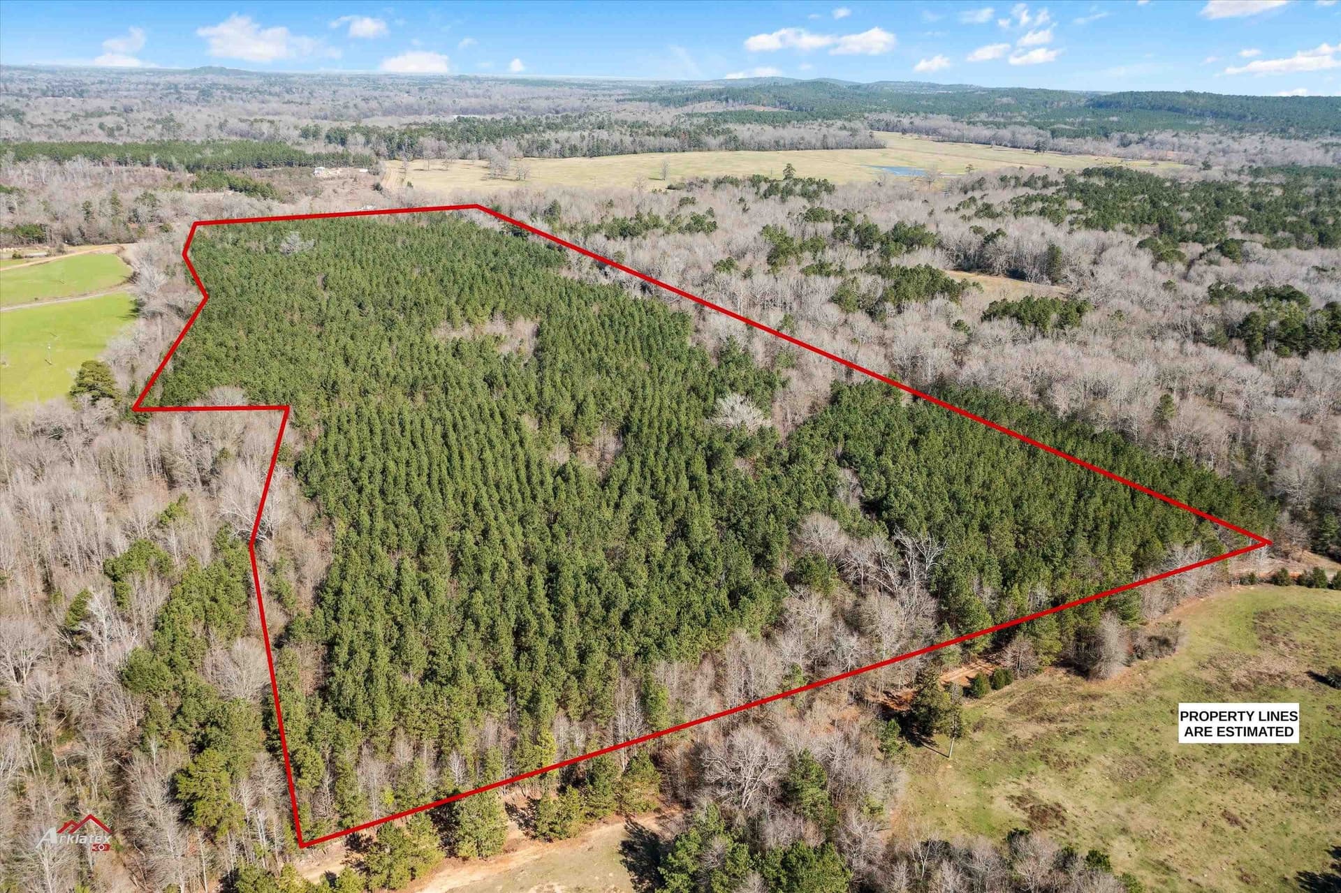 41.01 acres in Texas County - photo 7