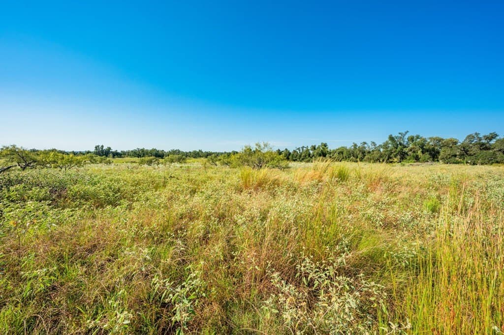 18.5 acres in Gillespie County - photo 14