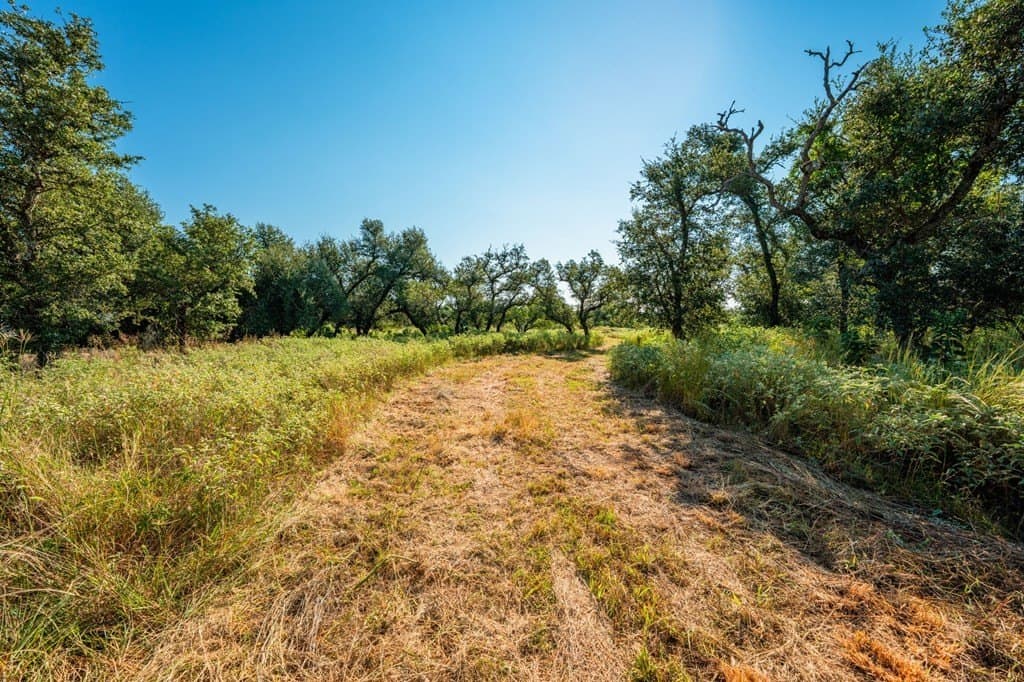 18.5 acres in Gillespie County - photo 11