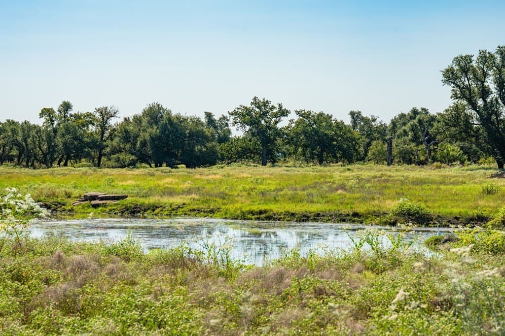 18.5 acres in Gillespie County - photo 16