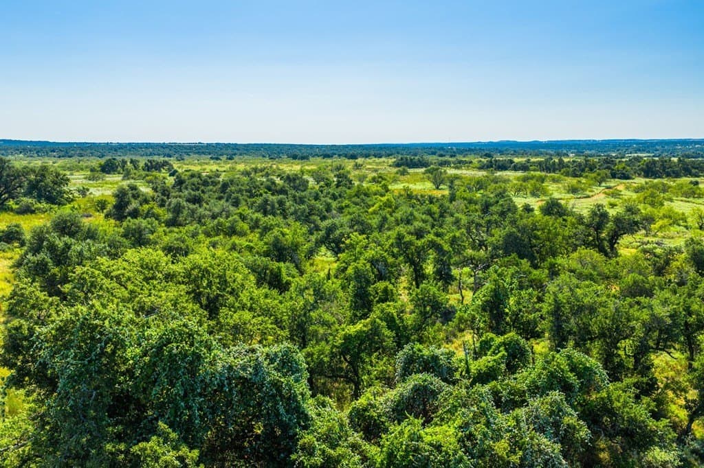 18.5 acres in Gillespie County - photo 6