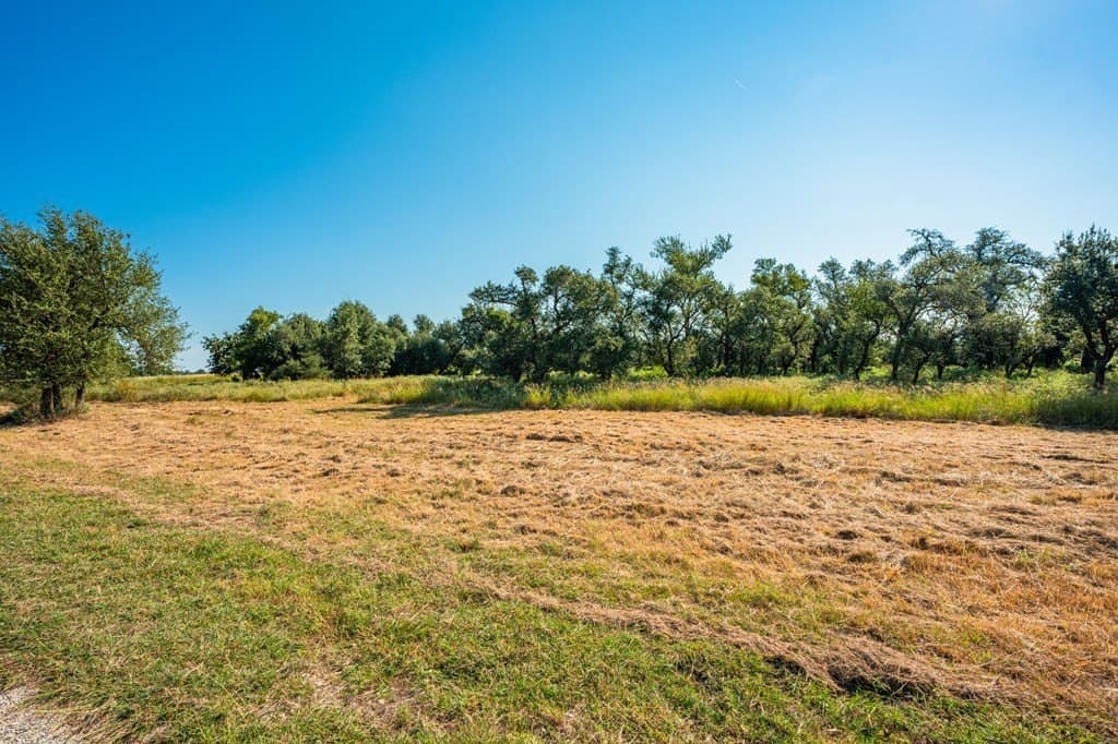 18.5 acres in Gillespie County - photo 10