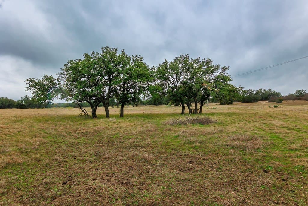 65 acres in McCulloch County gallery image 4
