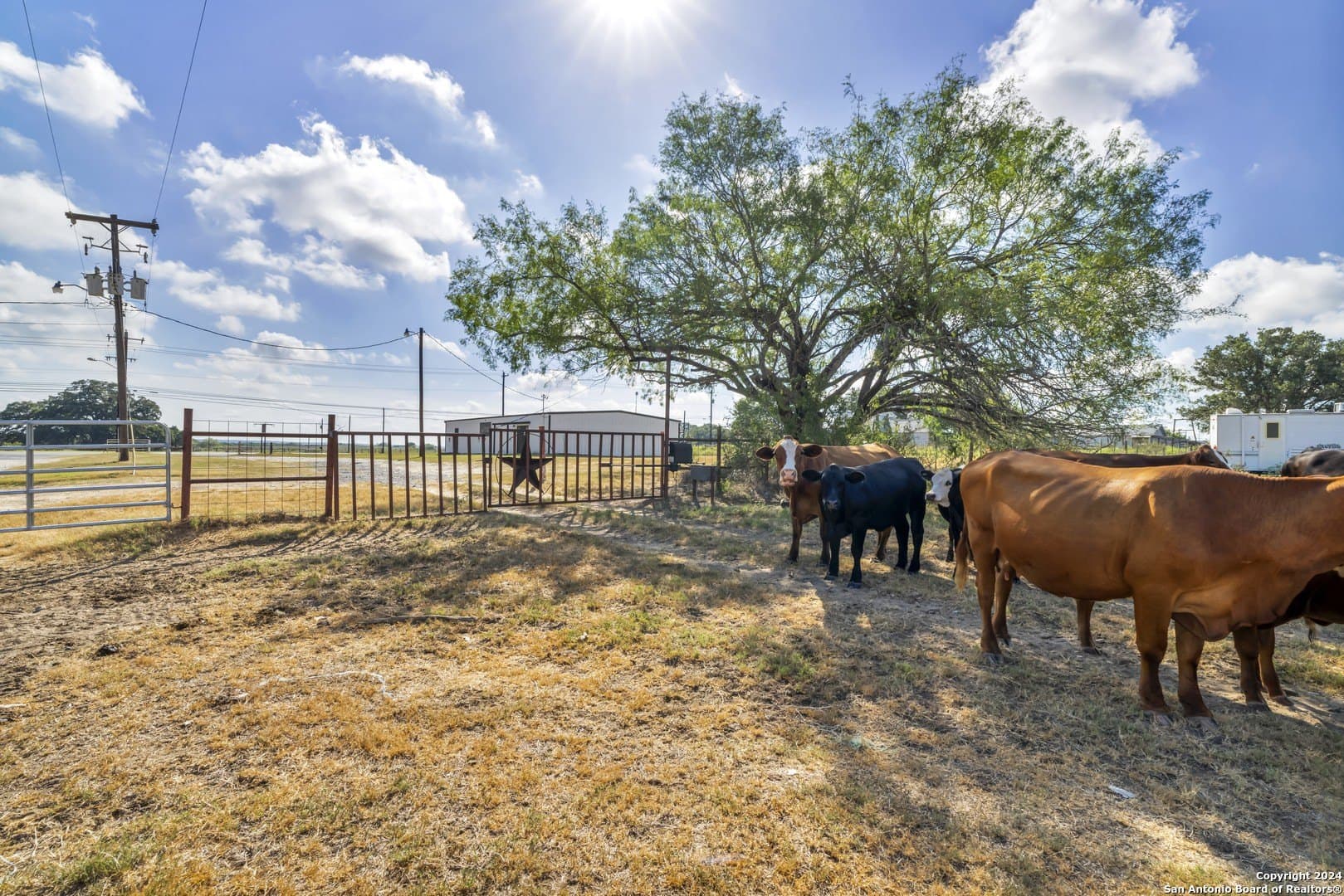 73.75 acres in Wilson County gallery image 3