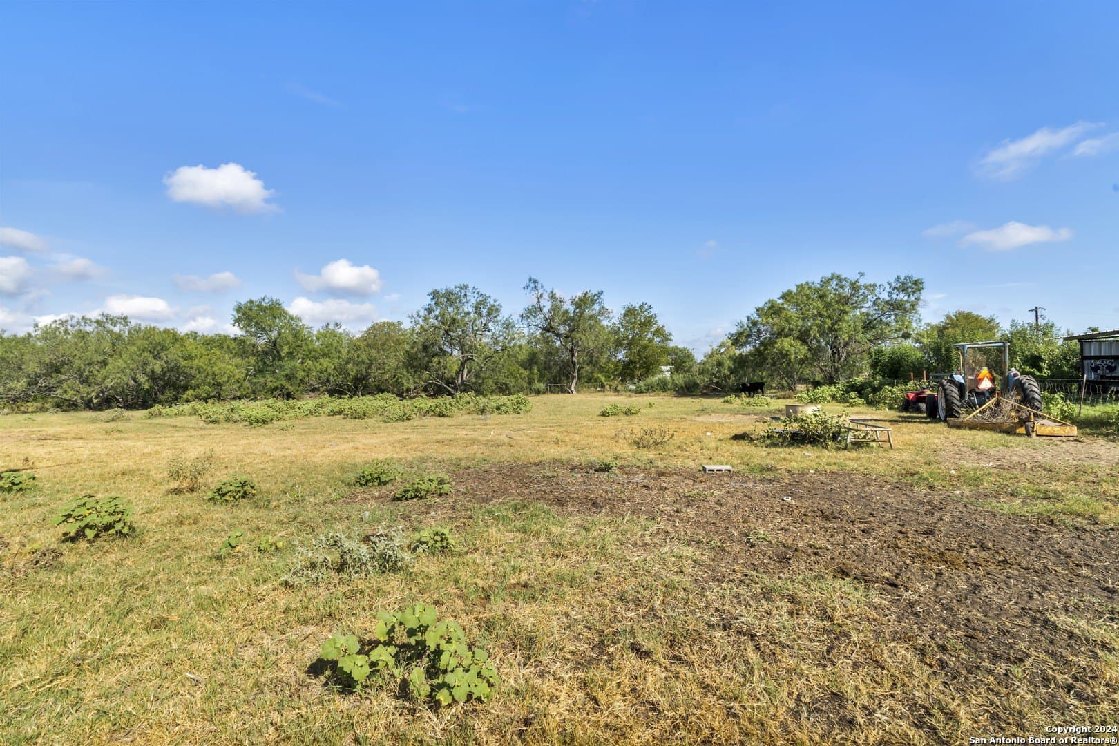 73.75 acres in Wilson County gallery image 4