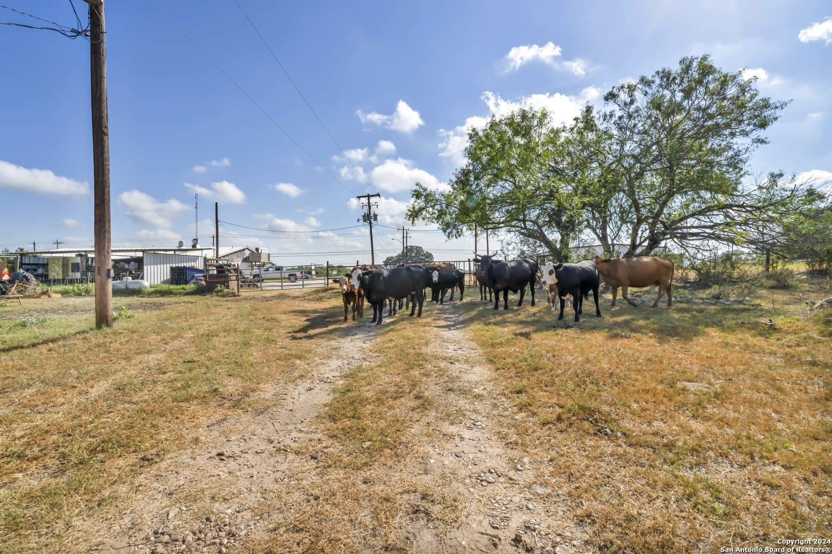73.75 acres in Wilson County featured view