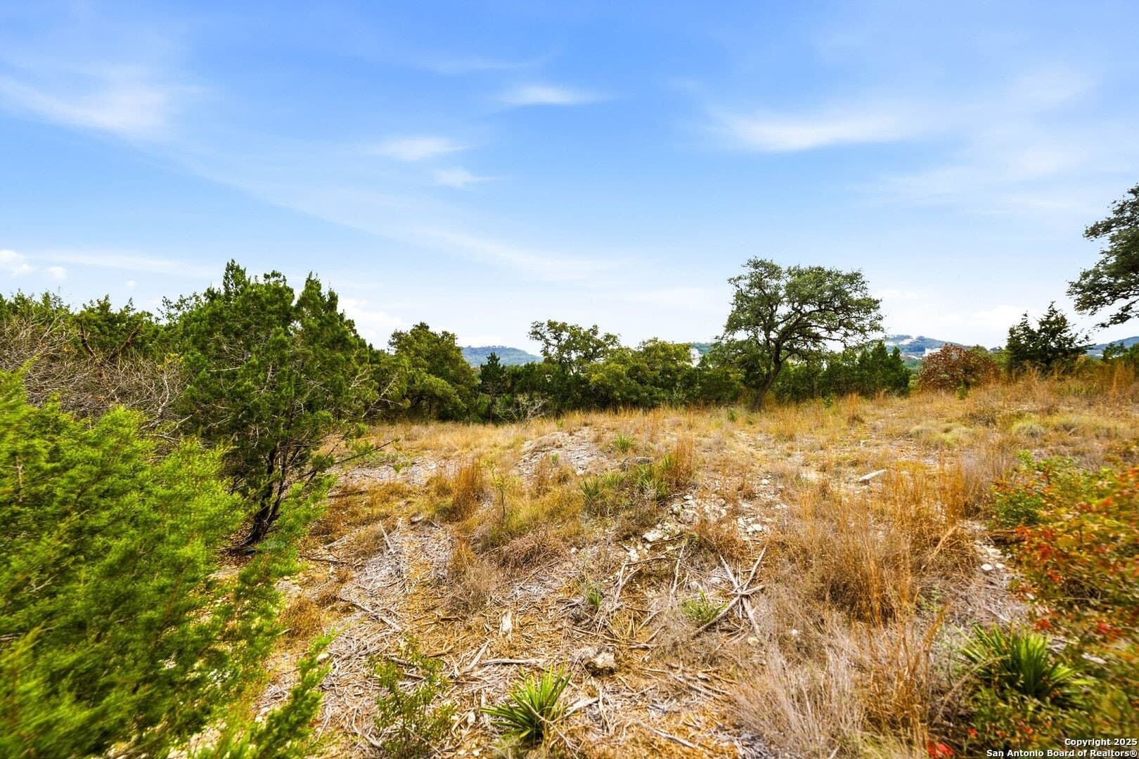 0.58 acres in Bexar County - photo 22