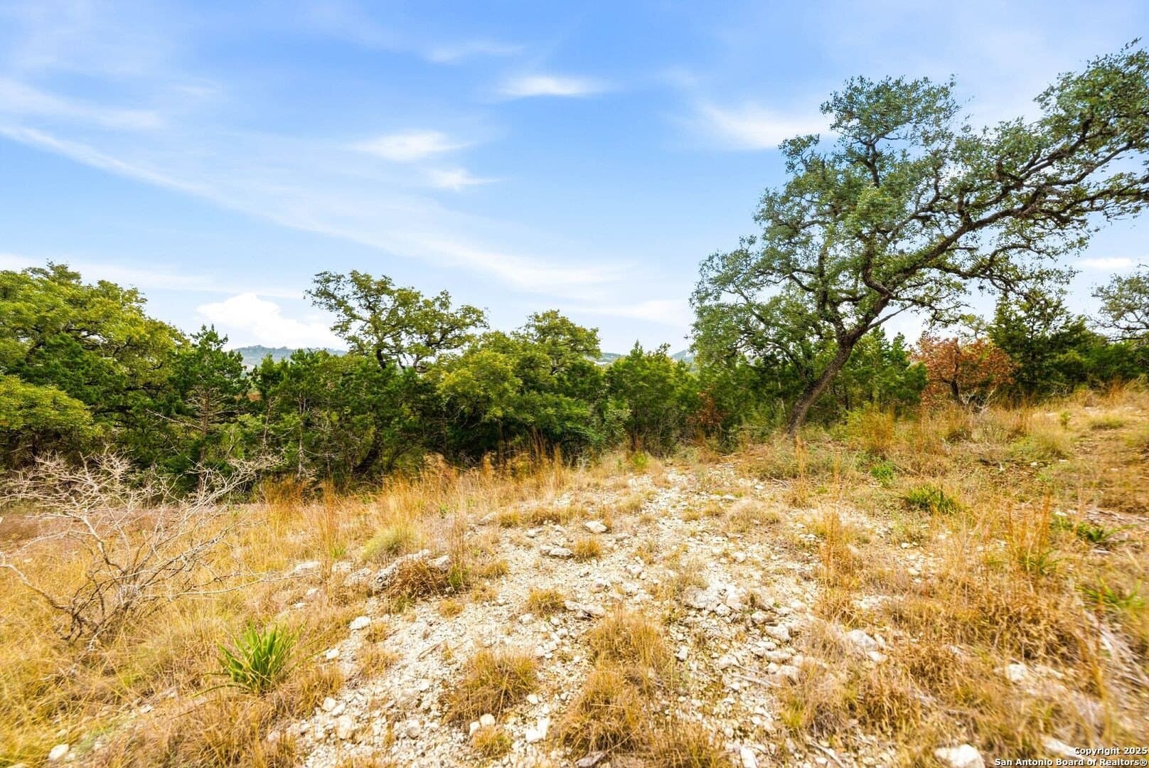 0.58 acres in Bexar County - photo 25