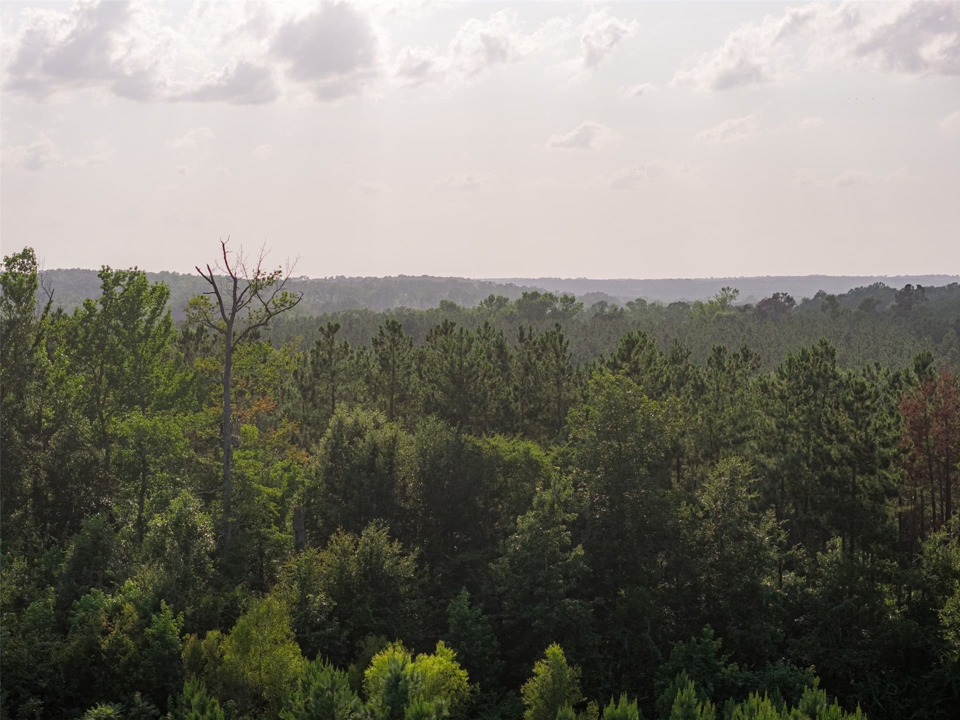 12.36 acres in Rusk County - photo 18