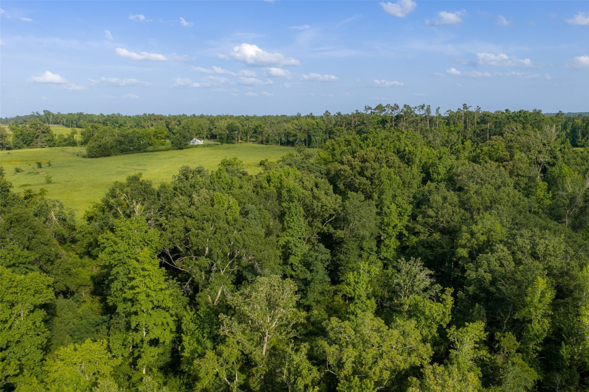 12.36 acres in Rusk County - photo 9