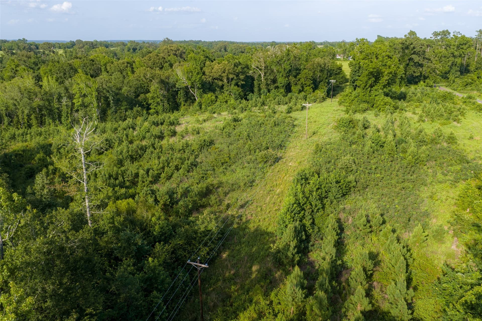 12.36 acres in Rusk County - photo 6