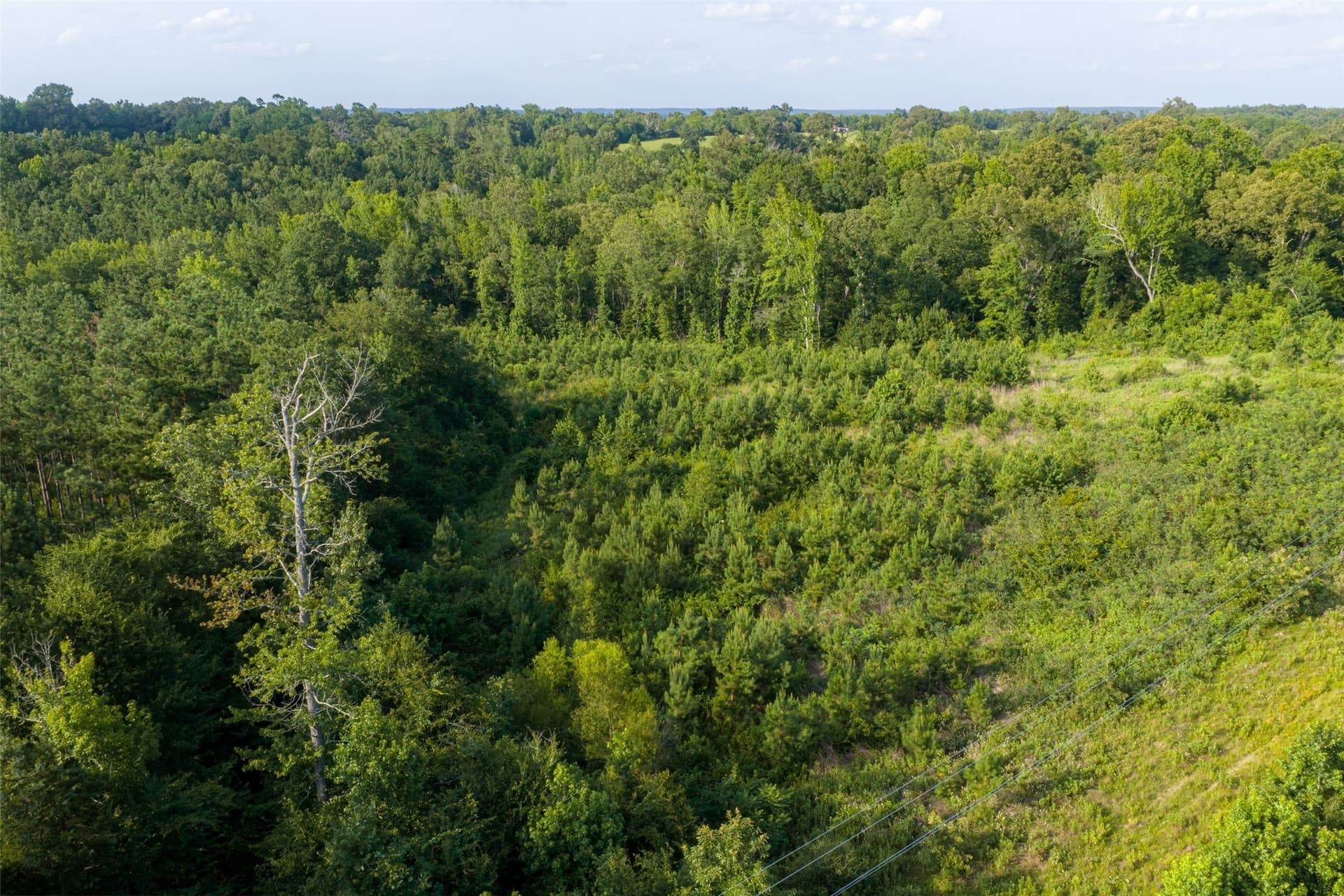 12.36 acres in Rusk County - photo 28