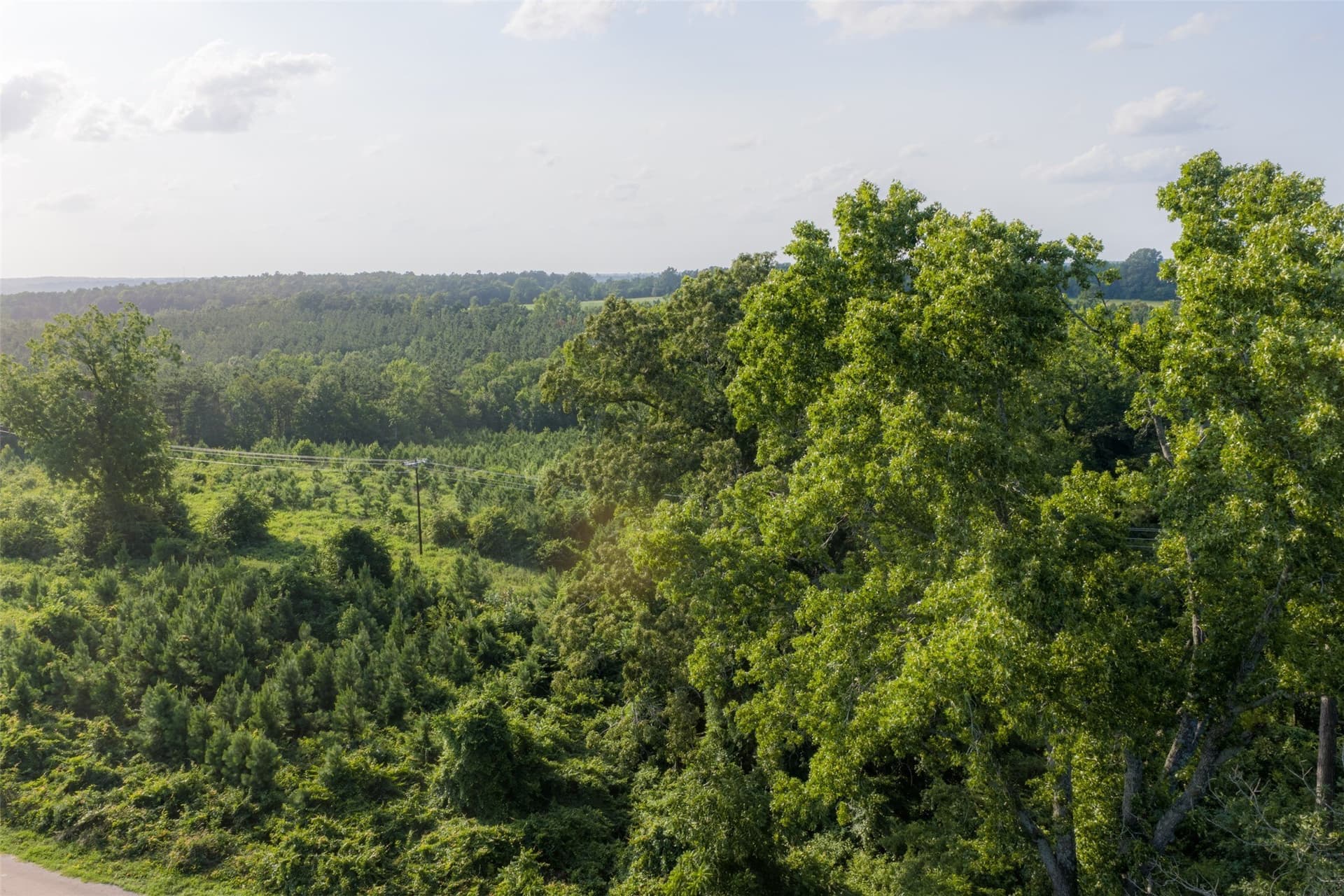 12.36 acres in Rusk County - photo 33