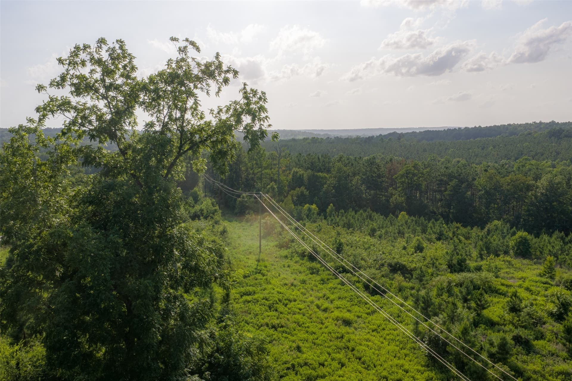 12.36 acres in Rusk County - photo 15
