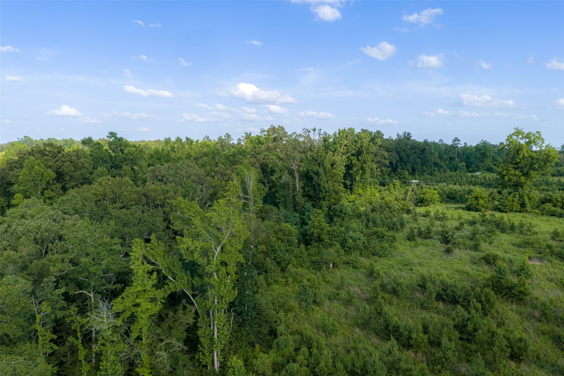 12.36 acres in Rusk County - photo 10