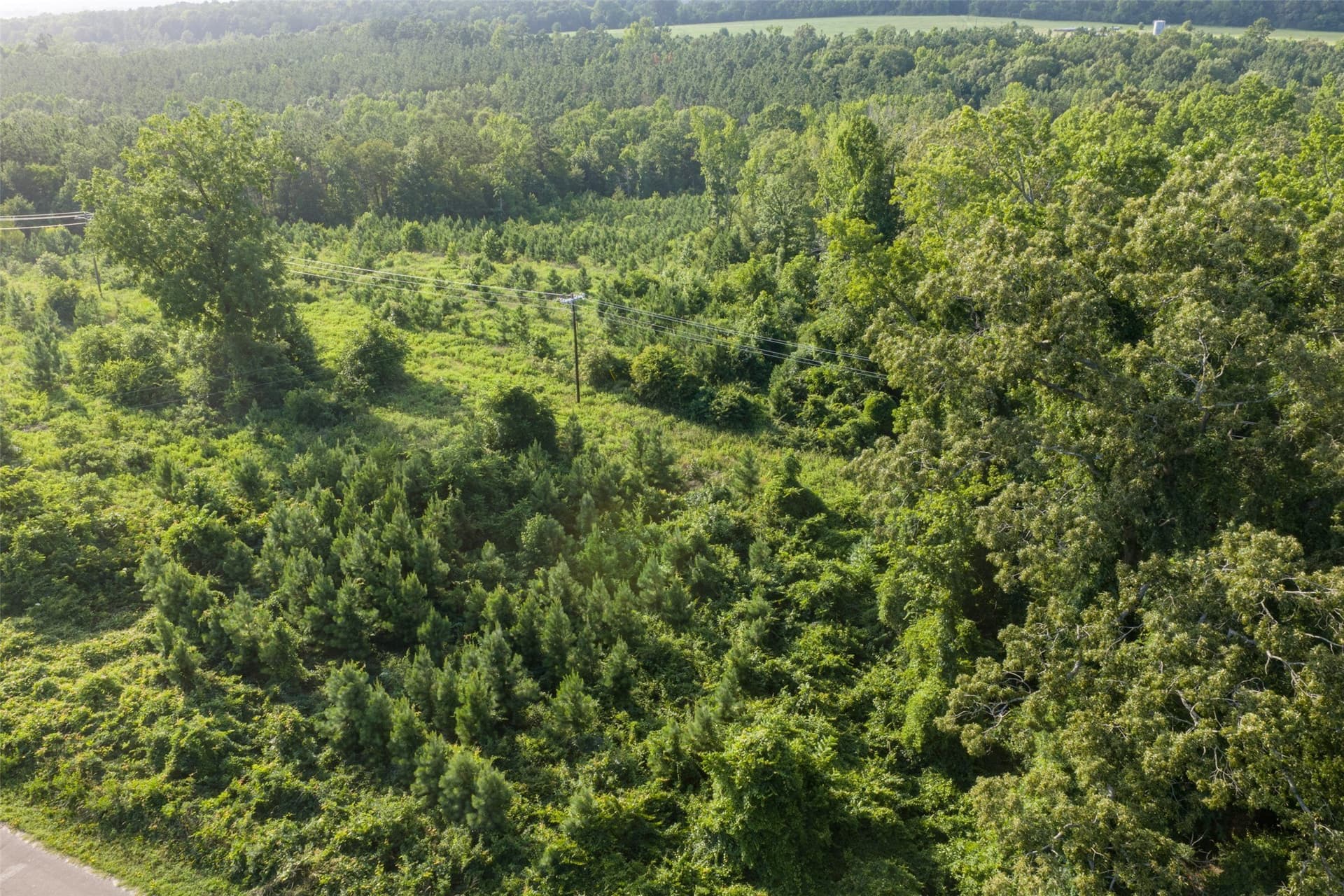 12.36 acres in Rusk County - photo 32