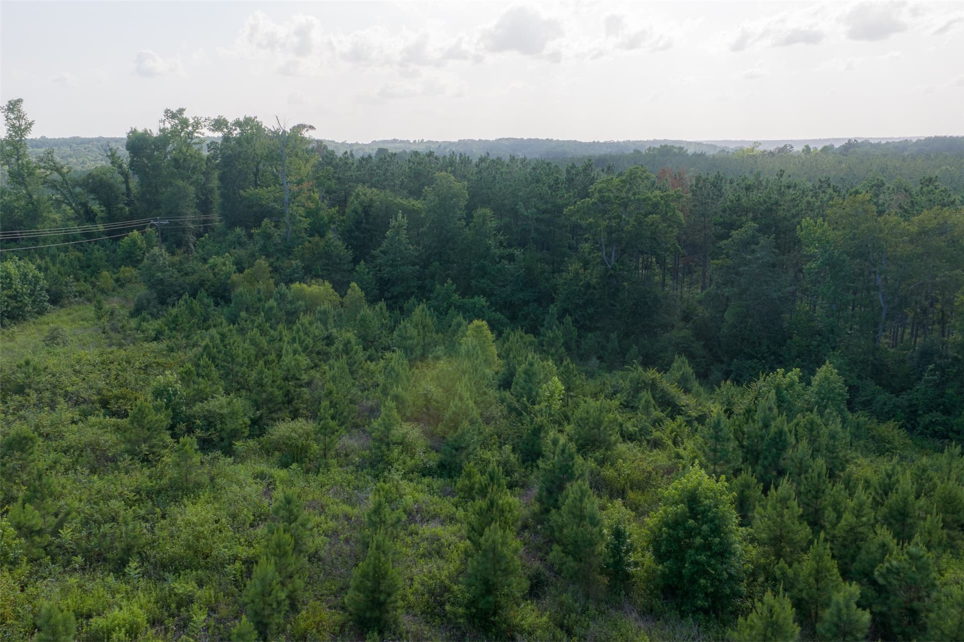 12.36 acres in Rusk County - photo 35