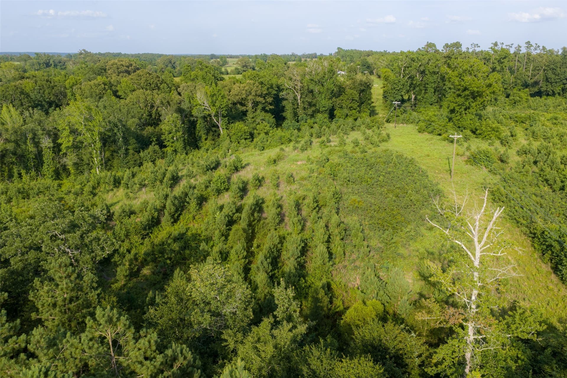 12.36 acres in Rusk County - photo 20