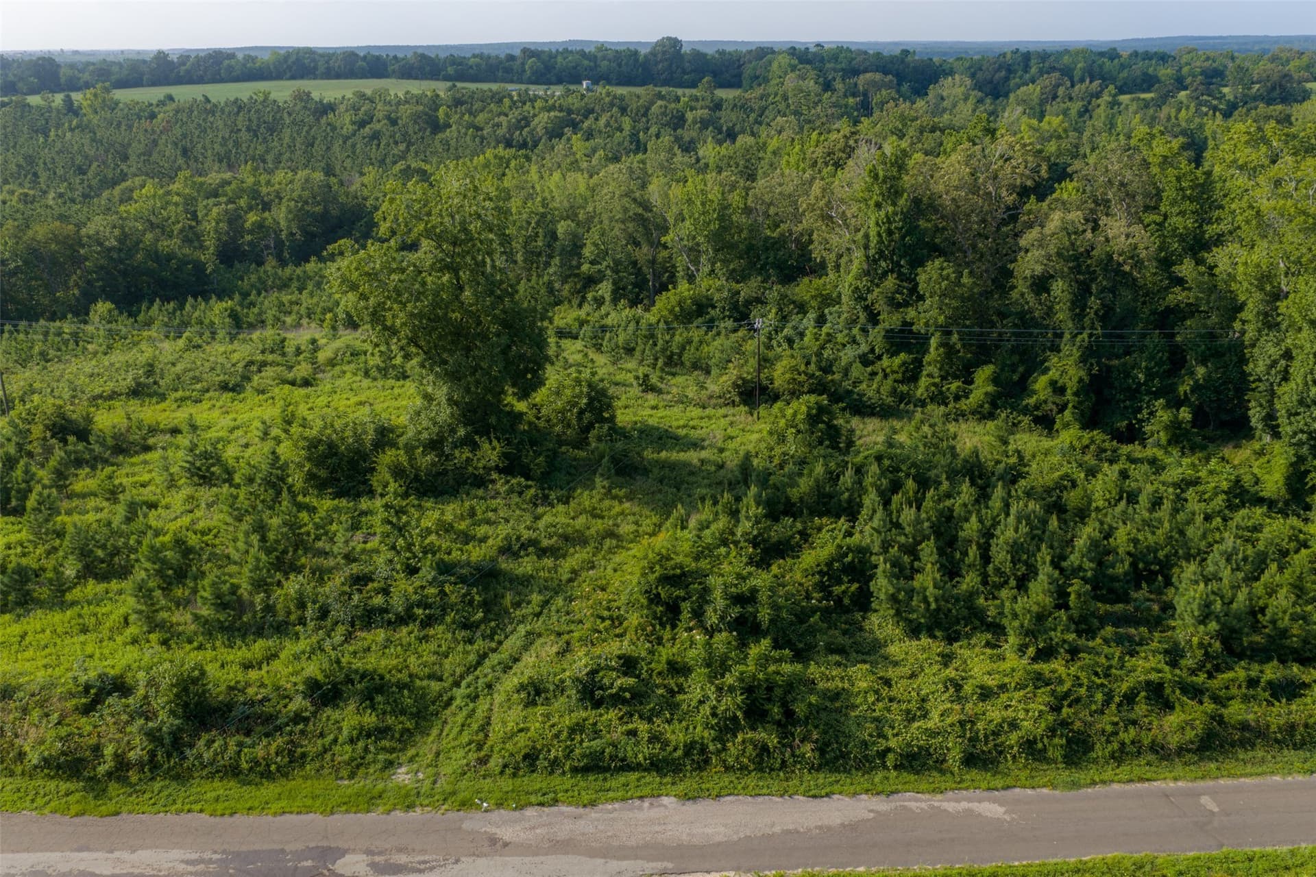 12.36 acres in Rusk County - photo 4