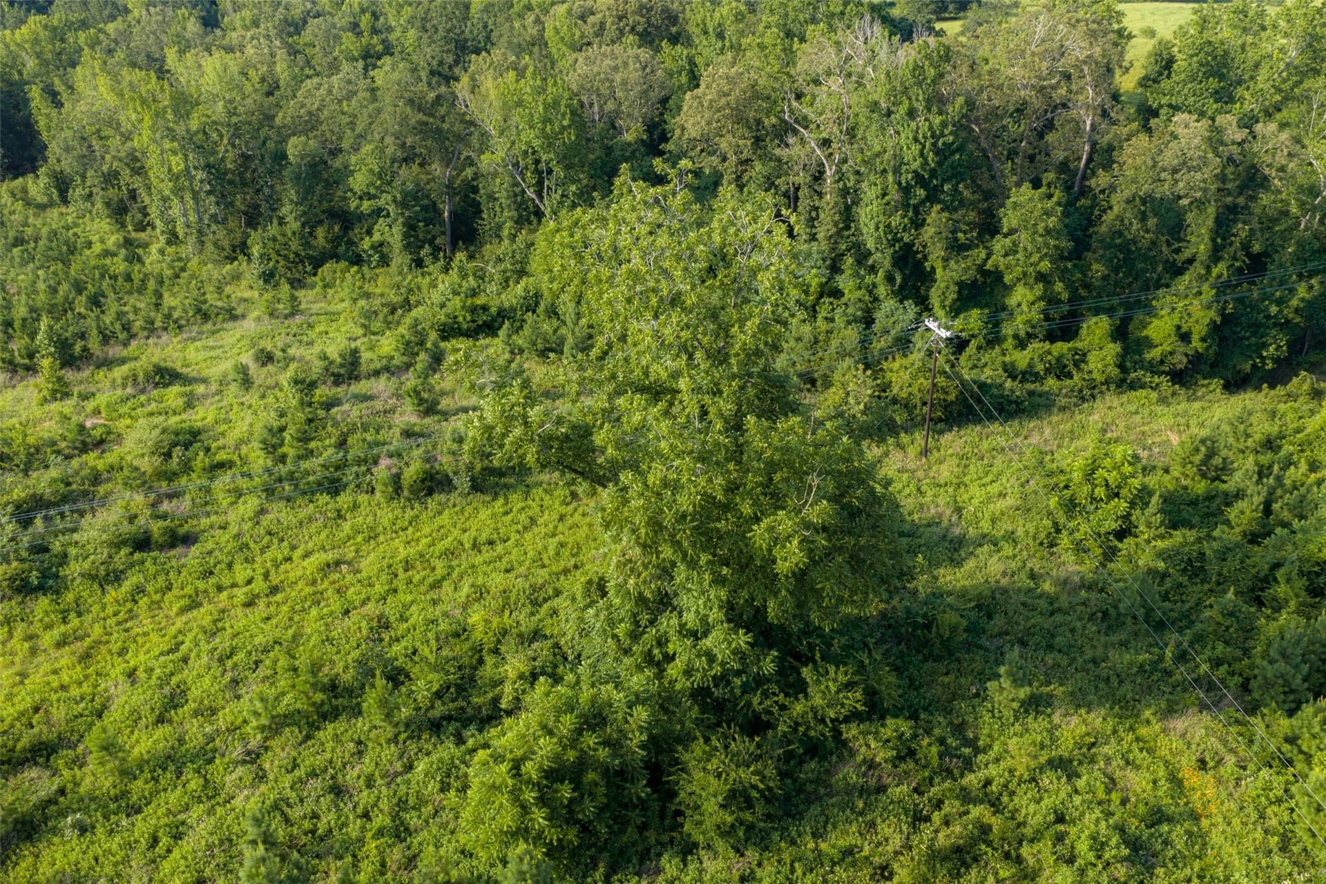 12.36 acres in Rusk County - photo 30