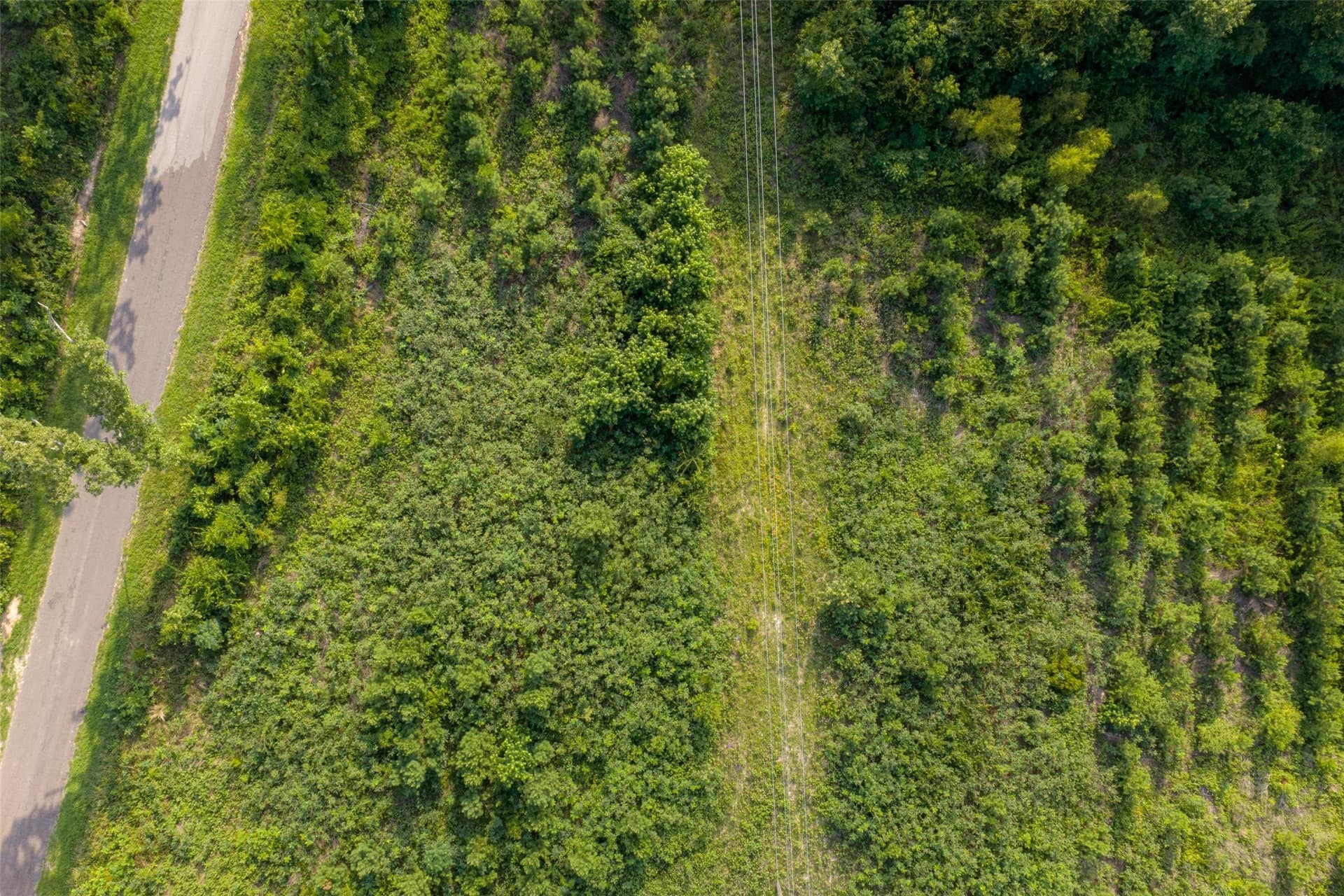 12.36 acres in Rusk County - photo 31