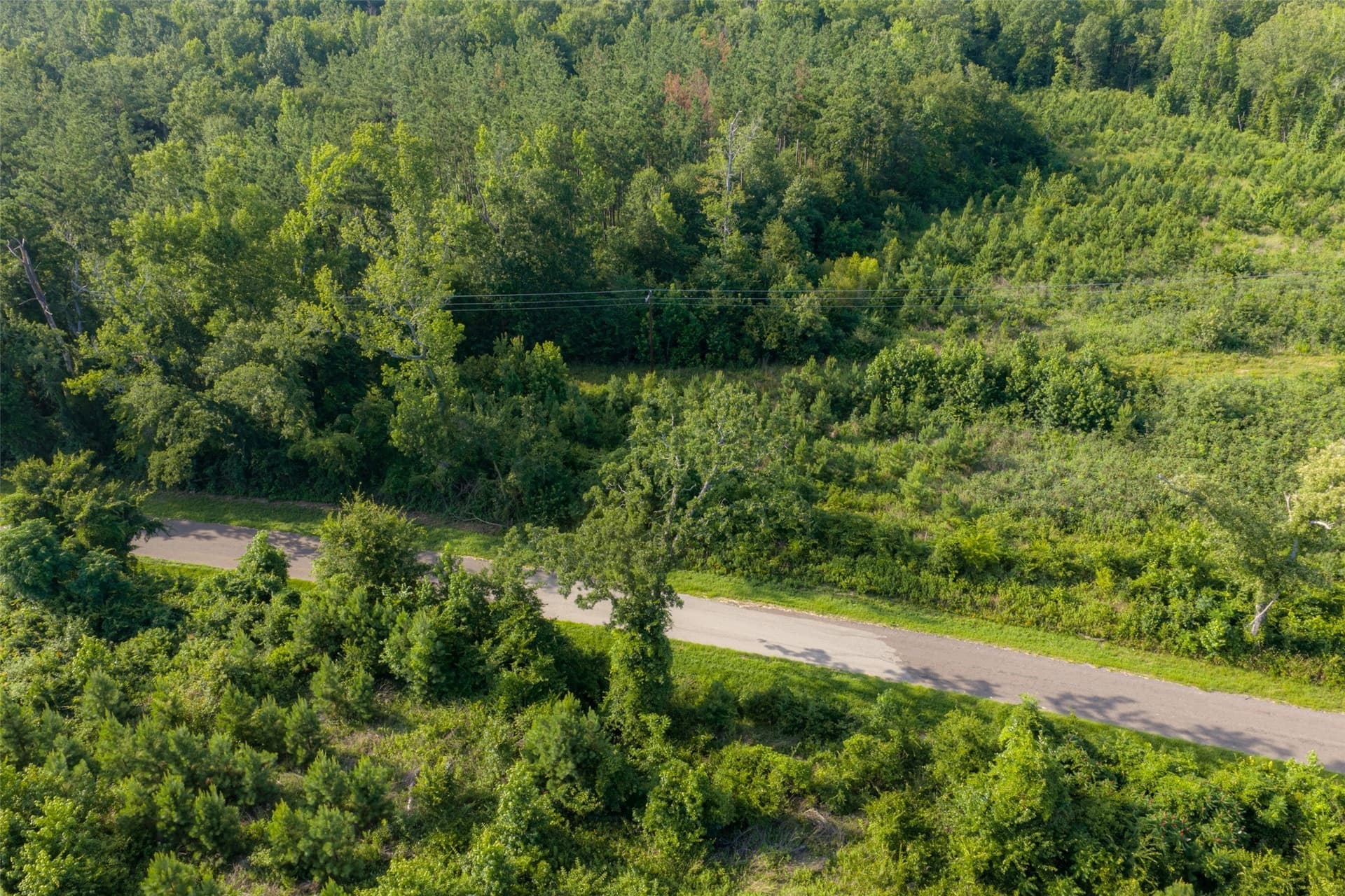 12.36 acres in Rusk County - photo 23