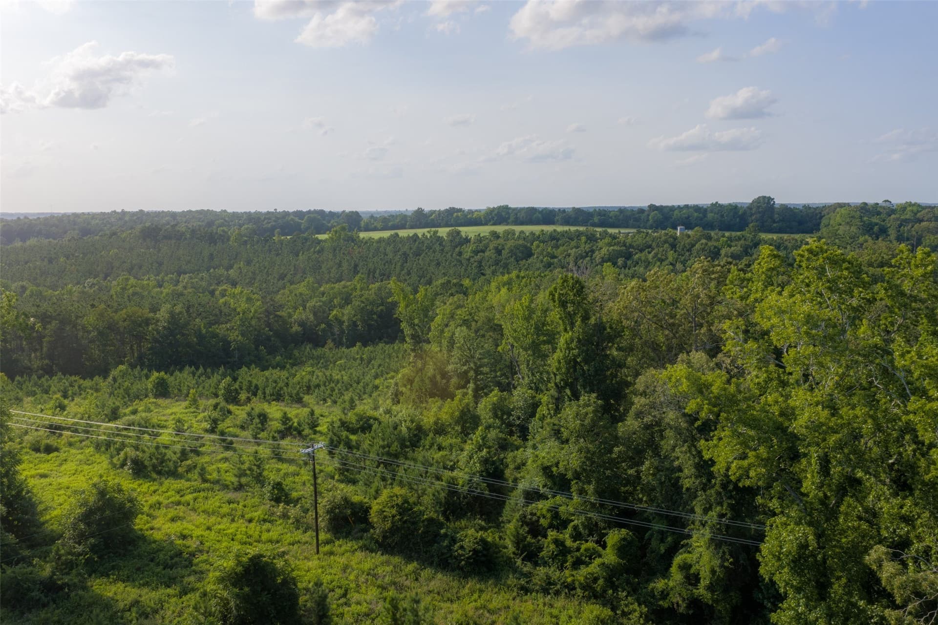 12.36 acres in Rusk County - photo 3