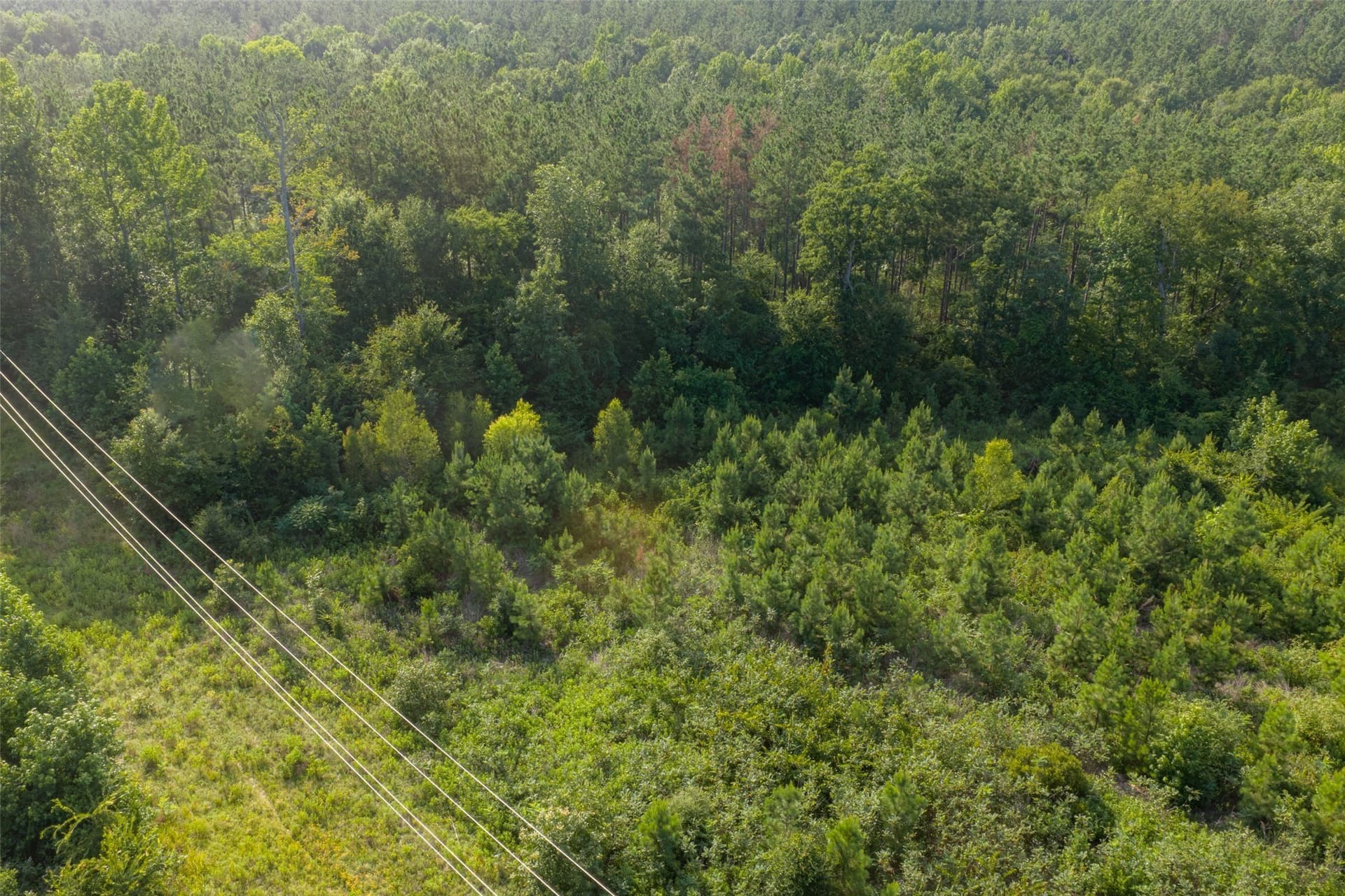 12.36 acres in Rusk County - photo 29