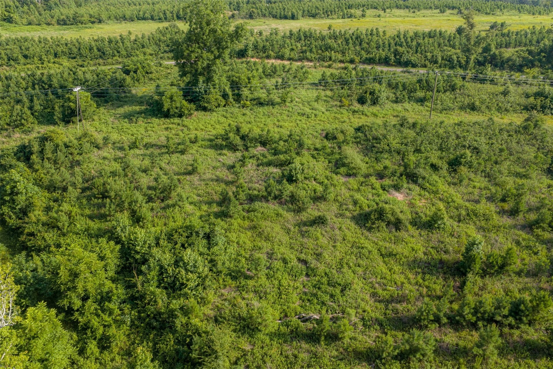 12.36 acres in Rusk County - photo 8