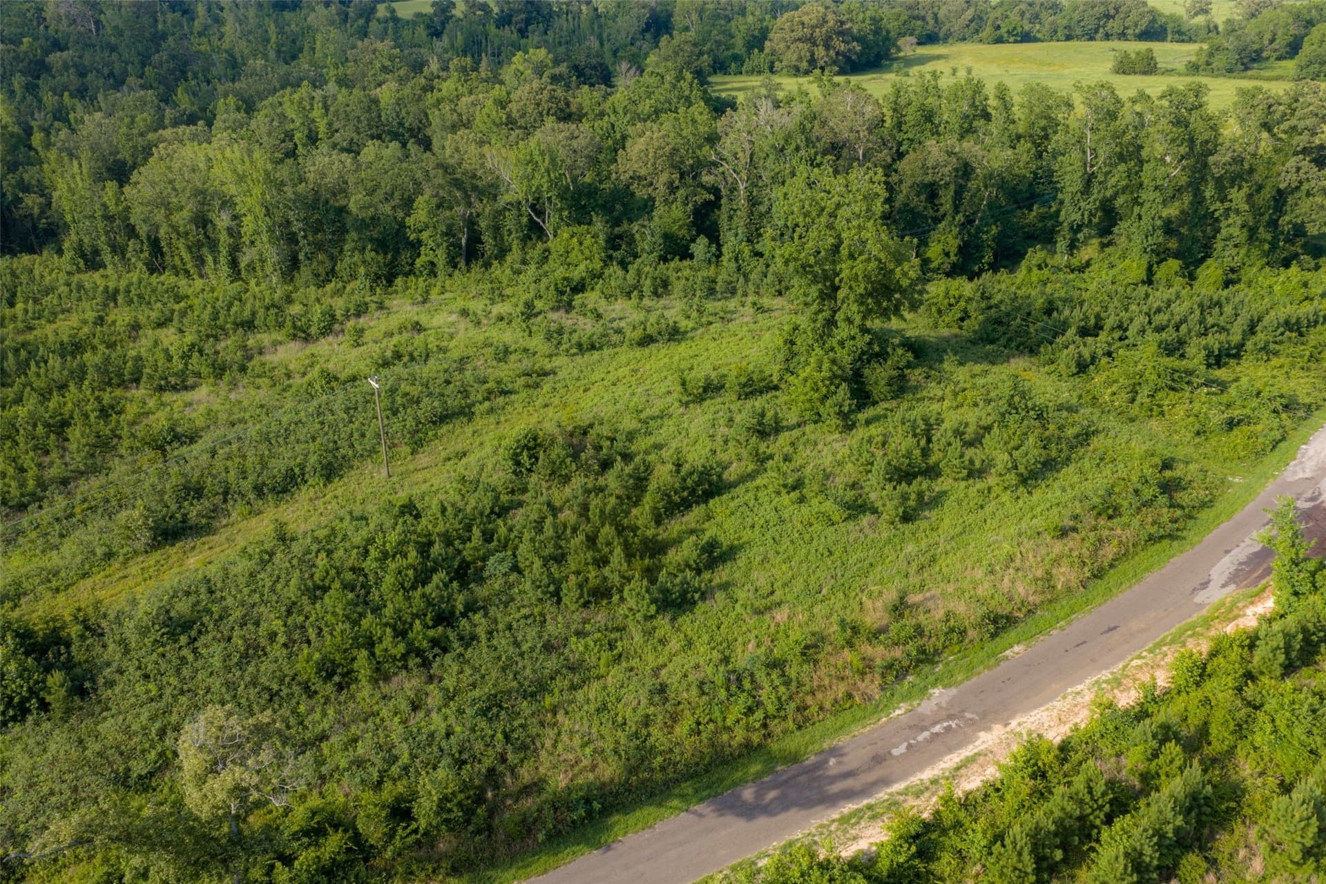 12.36 acres in Rusk County - photo 13