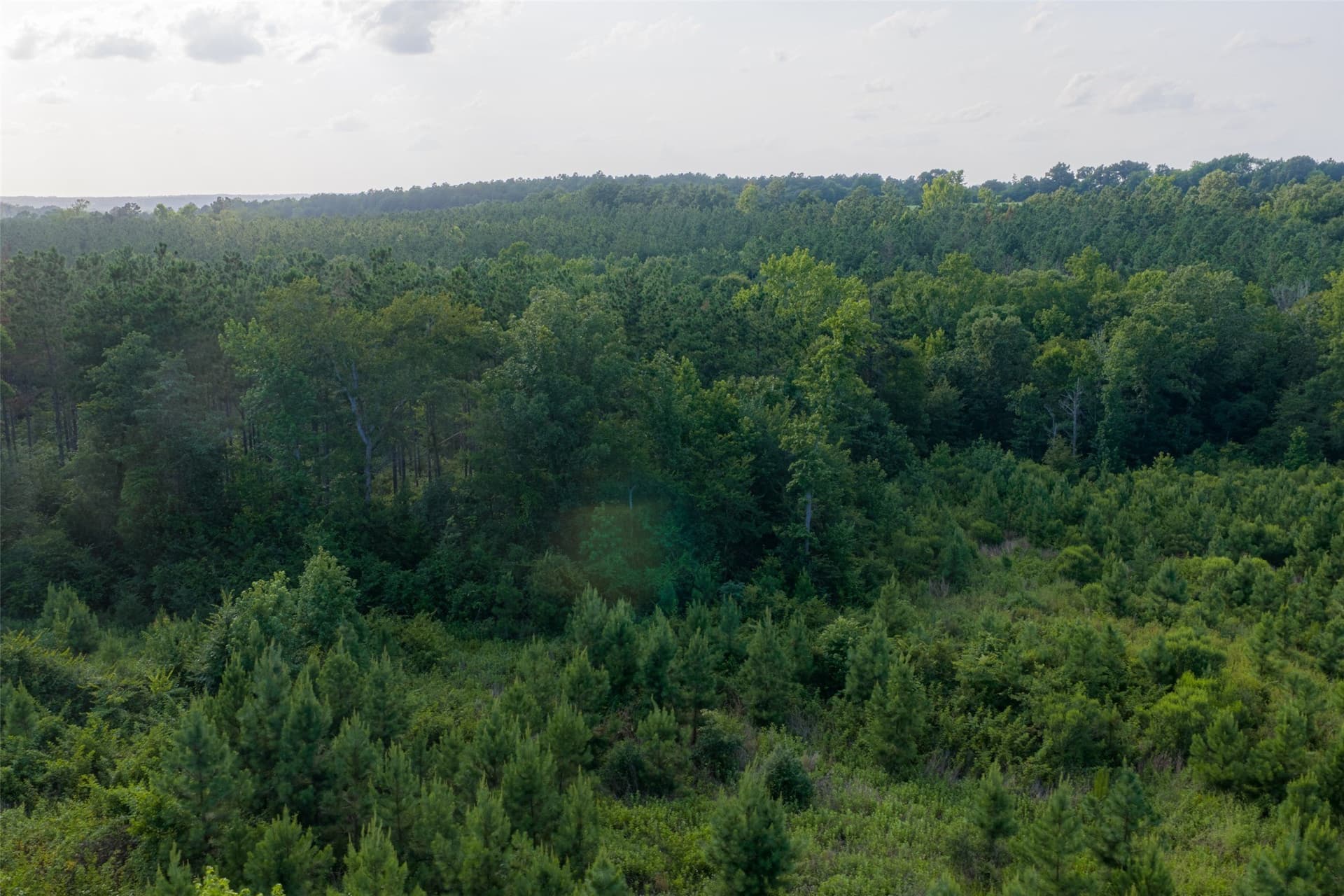 12.36 acres in Rusk County - photo 34