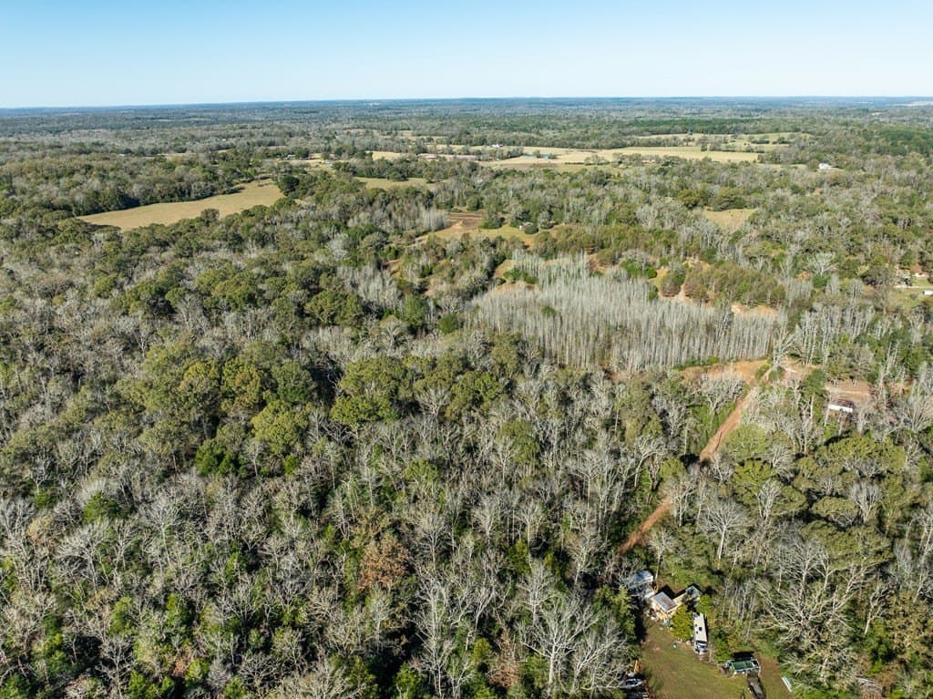 42 acres in LEON County gallery image 3