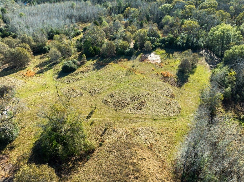 42 acres in LEON County featured view