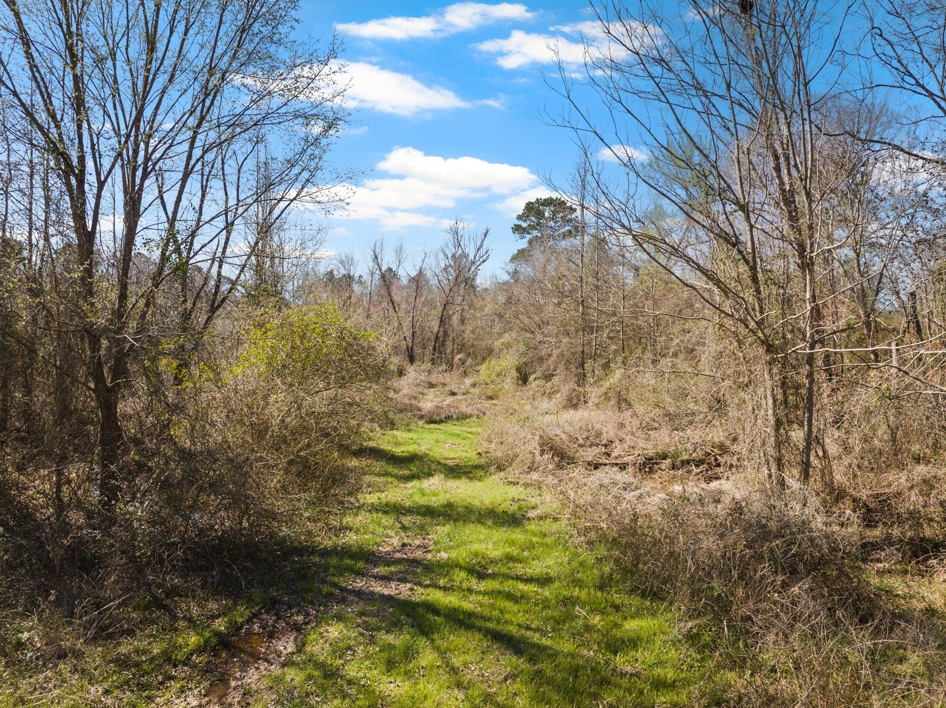 74.98 acres in Morris County - photo 6