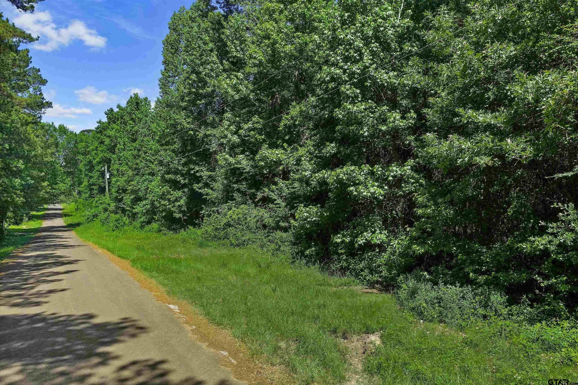 2 acres in Panola County - photo 10