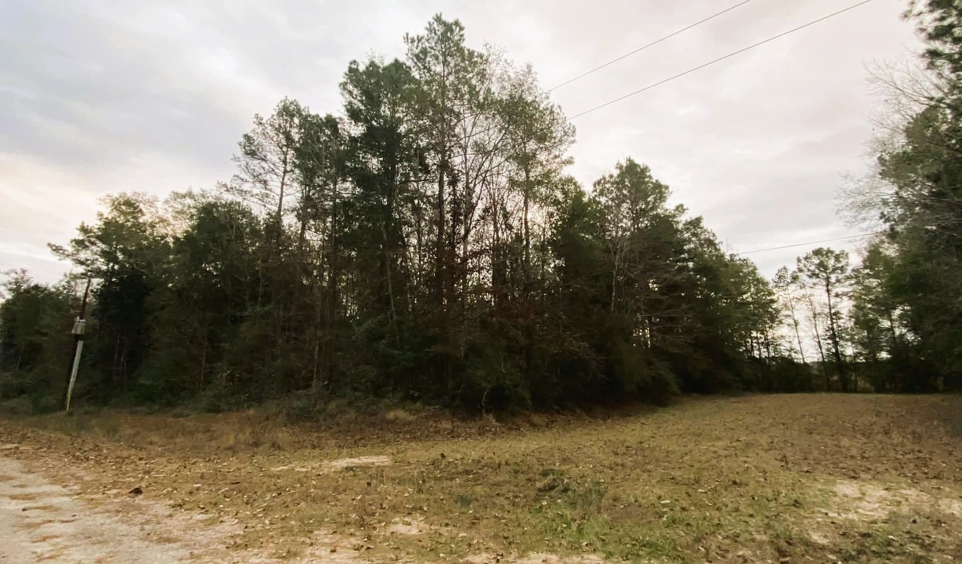 0.83 acres in Texas County gallery image 4