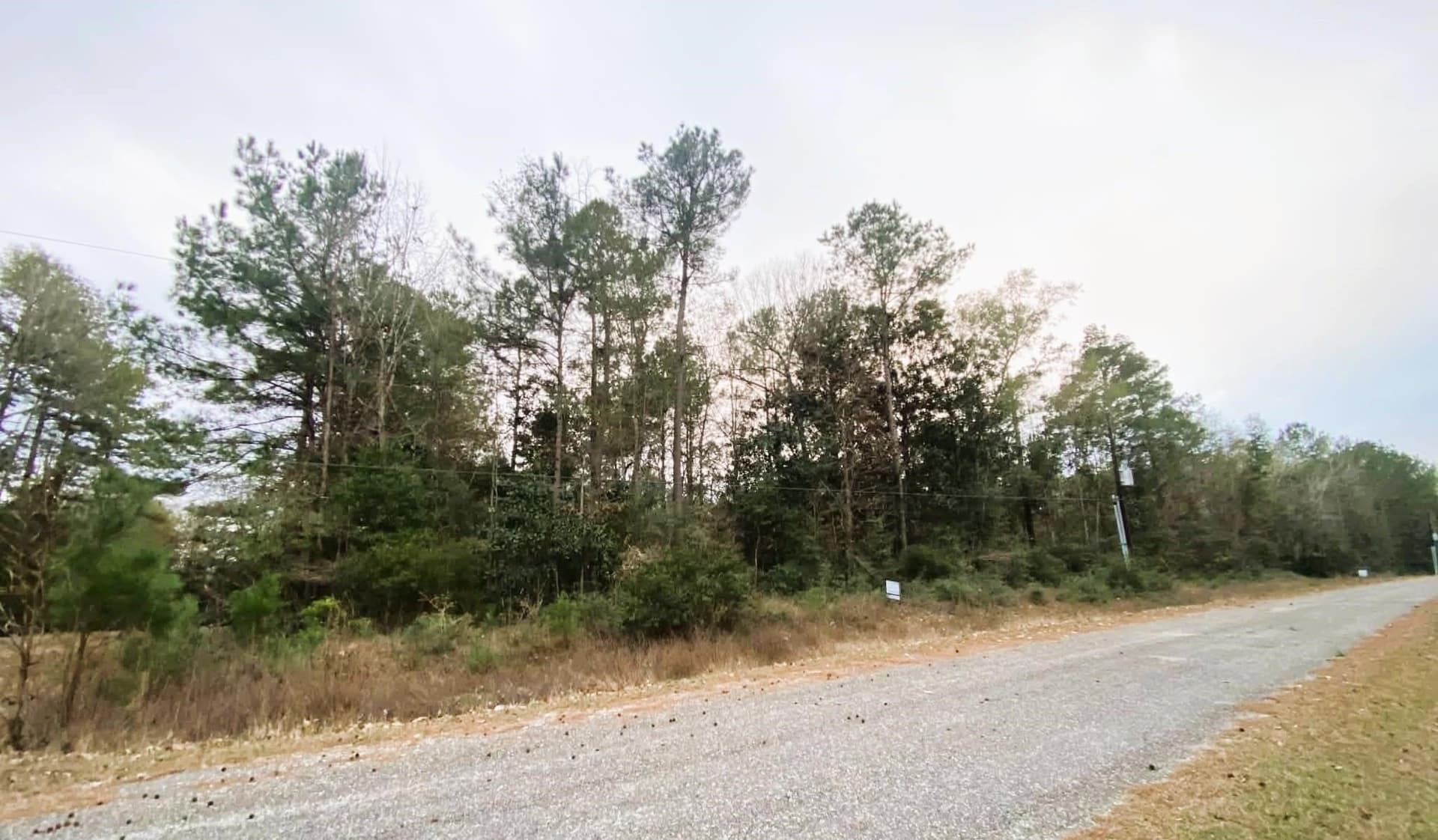 0.83 acres in Texas County gallery image 3