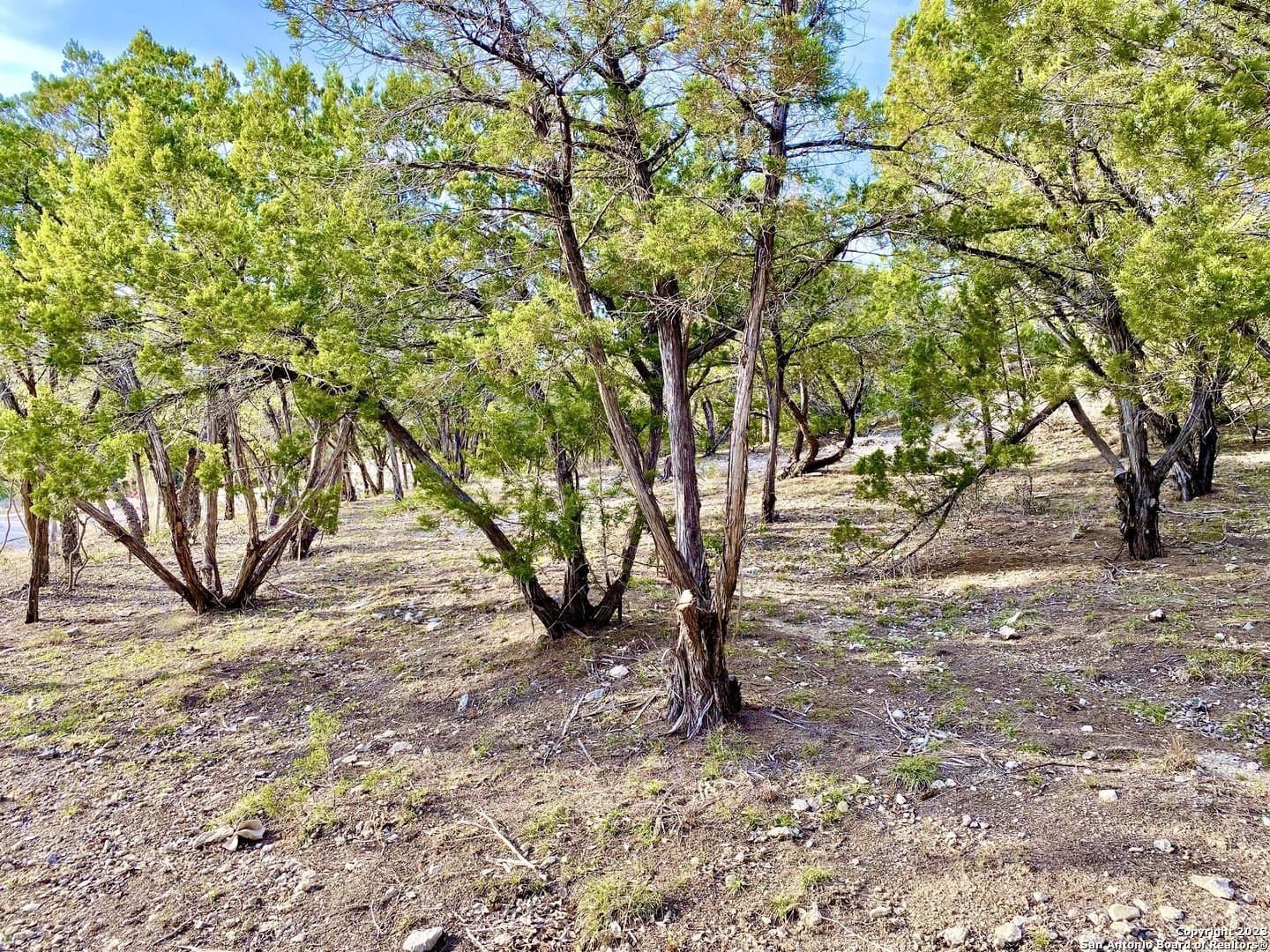 2.08 acres in Medina County - photo 14