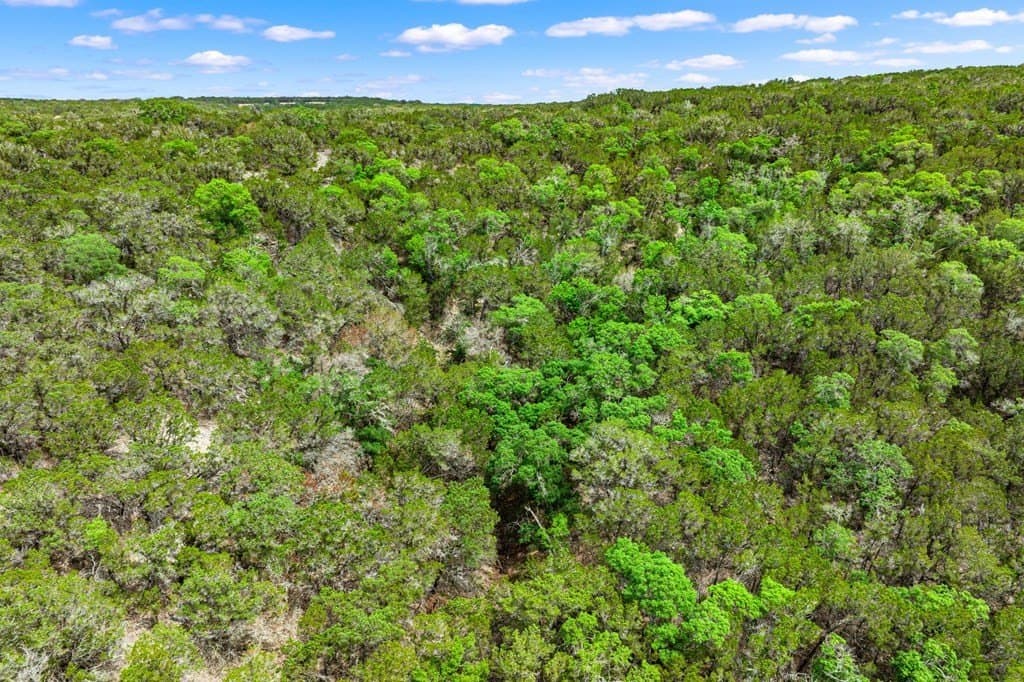 51.3 acres in Kerr County - photo 19